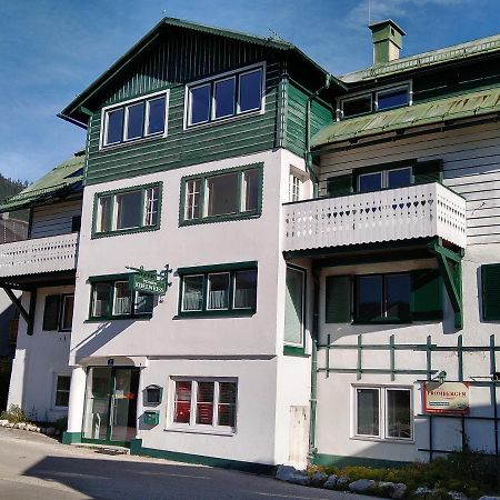 Apartment Haarlem גוסאו מראה חיצוני תמונה